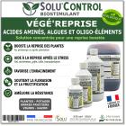 Biostimulant Concentré aux Acides Aminés, Algues et Oligo-Éléments, Solu