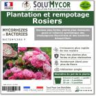 Pastilles biostimulantes MYCORHIZES et bactéries pour semis et plantation spécial Rosiers, SOLU