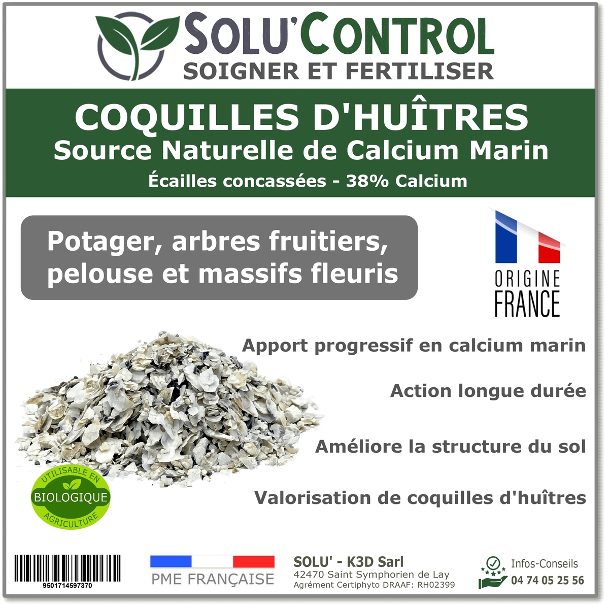 Écailles de Coquilles d